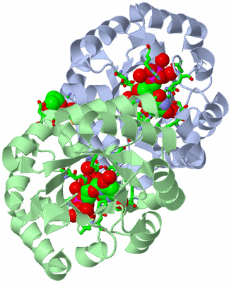 Image Asym./Biol. Unit - sites