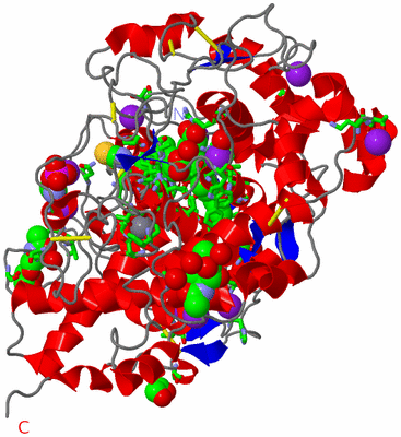 Image Asym./Biol. Unit - sites