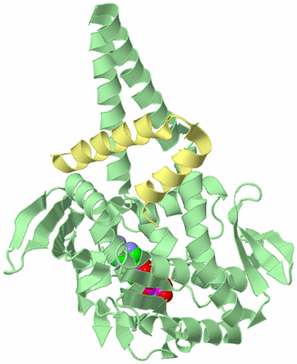 Image Biological Unit 2