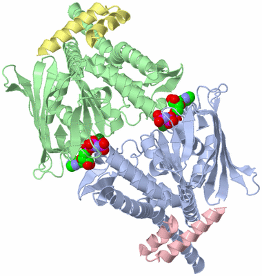 Image Biological Unit 3