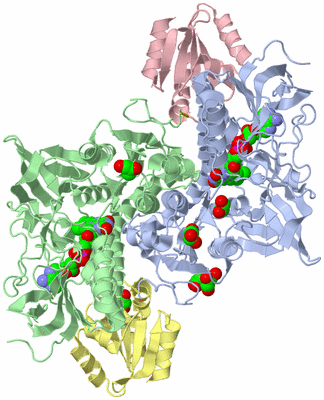 Image Asym./Biol. Unit