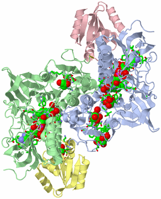 Image Asym./Biol. Unit - sites