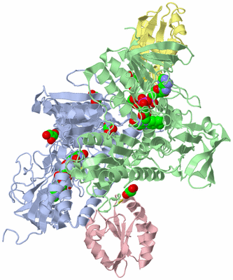 Image Asym./Biol. Unit