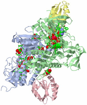 Image Asym./Biol. Unit - sites