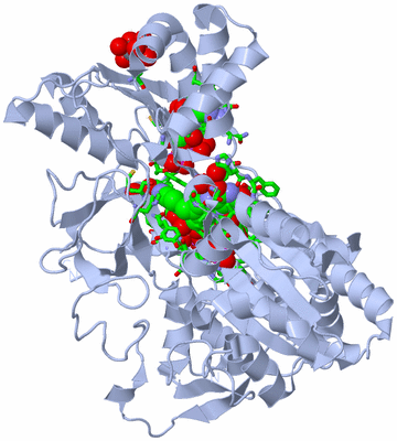 Image Biol. Unit 1 - sites