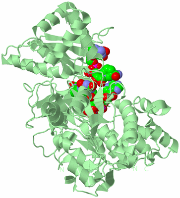 Image Biological Unit 2