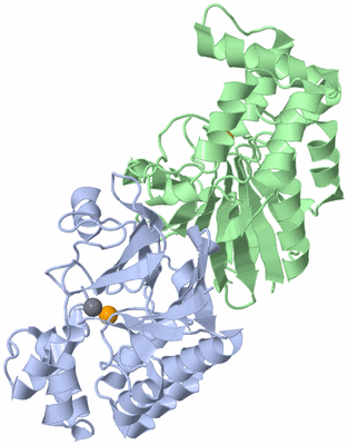 Image Asym./Biol. Unit