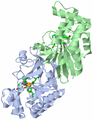 Image Asym./Biol. Unit - sites