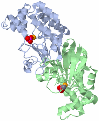 Image Asym./Biol. Unit