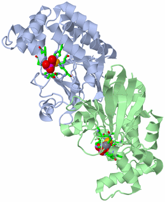 Image Asym./Biol. Unit - sites