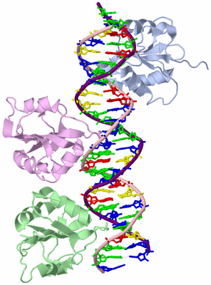 Image Asym./Biol. Unit