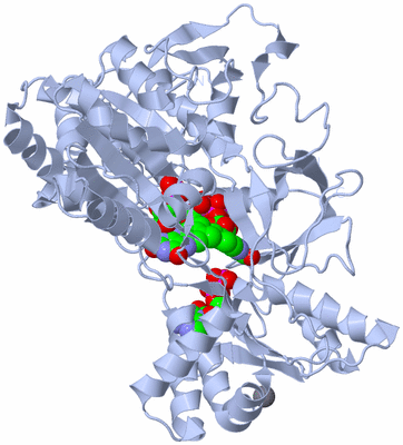 Image Biological Unit 1