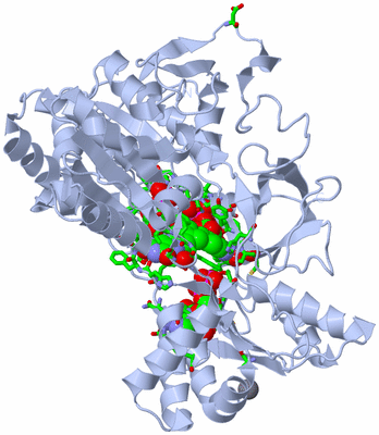 Image Biol. Unit 1 - sites