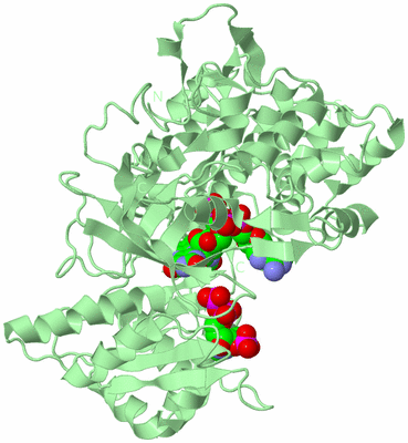 Image Biological Unit 2