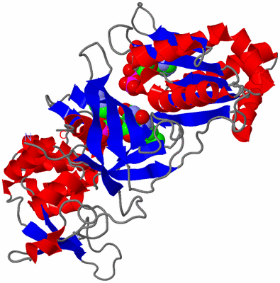 Image Asym./Biol. Unit