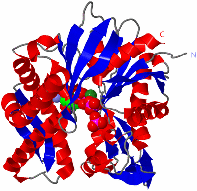 Image Asym./Biol. Unit