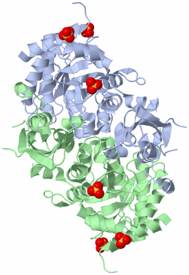 Image Asym./Biol. Unit