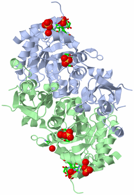 Image Asym./Biol. Unit - sites