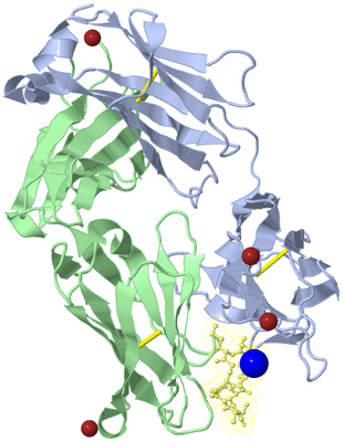 Image Biological Unit 1