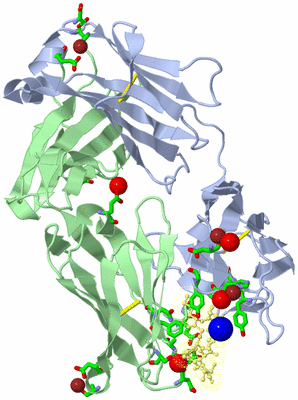 Image Biol. Unit 1 - sites