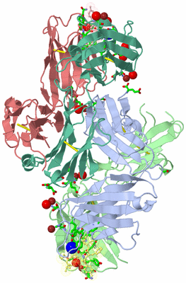 Image Asym. Unit - sites