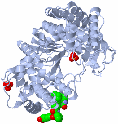 Image Biological Unit 1