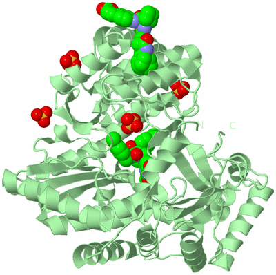 Image Biological Unit 2