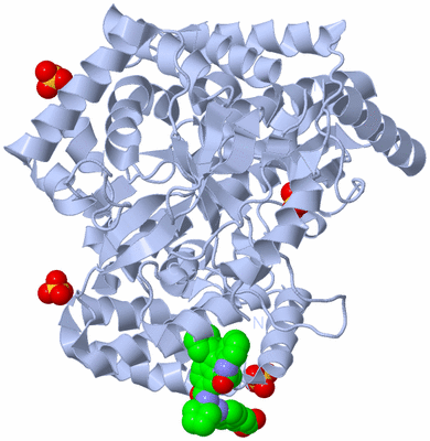 Image Biological Unit 1