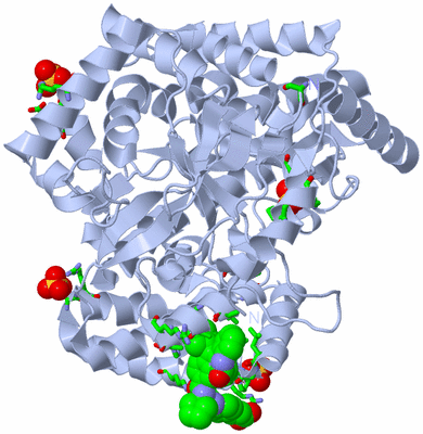 Image Biol. Unit 1 - sites