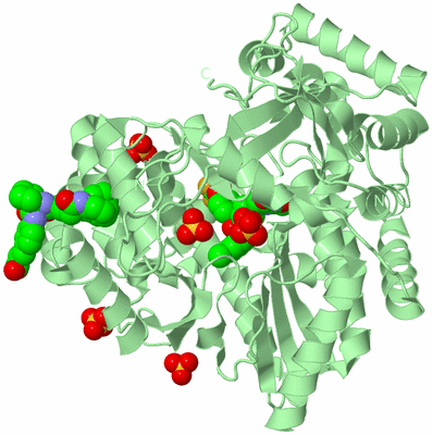 Image Biological Unit 2