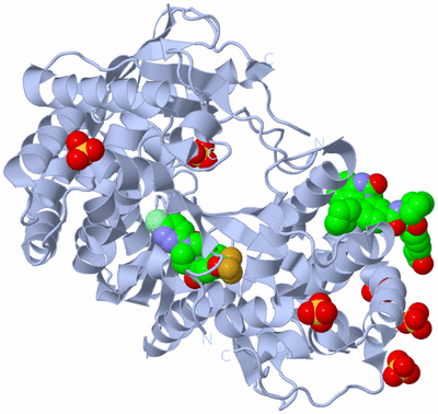 Image Biological Unit 1