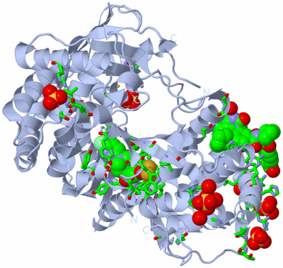 Image Biol. Unit 1 - sites