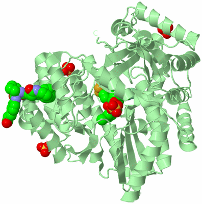 Image Biological Unit 2