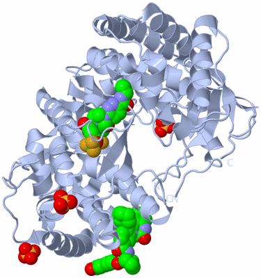 Image Biological Unit 1