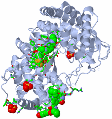 Image Biol. Unit 1 - sites