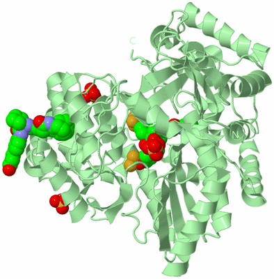 Image Biological Unit 2