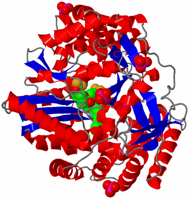 Image Asym./Biol. Unit