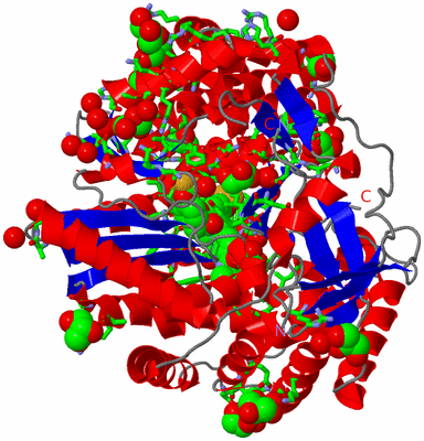 Image Asym./Biol. Unit - sites