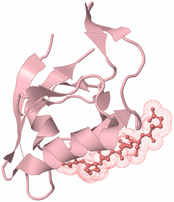 Image Biological Unit 3