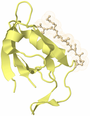 Image Biological Unit 4