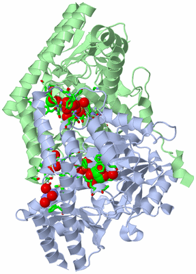 Image Asym./Biol. Unit - sites