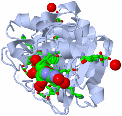 Image Biol. Unit 1 - sites