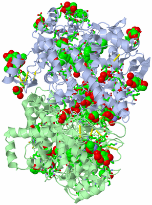 Image Asym./Biol. Unit - sites