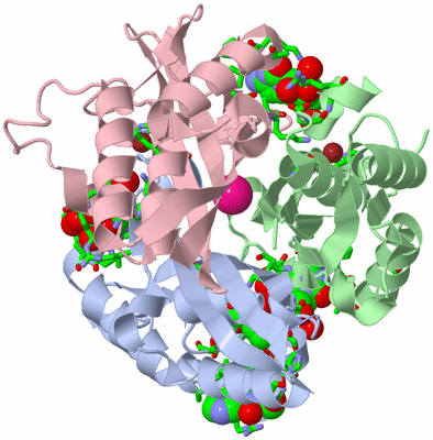 Image Asym./Biol. Unit - sites