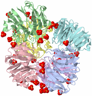 Image Biological Unit 10