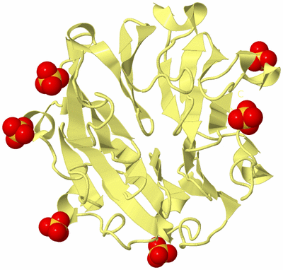 Image Biological Unit 4