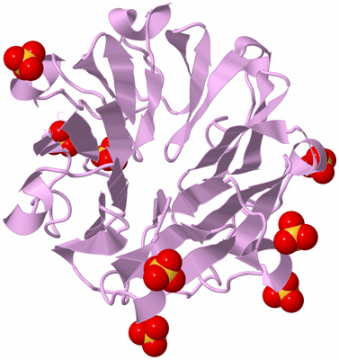 Image Biological Unit 5