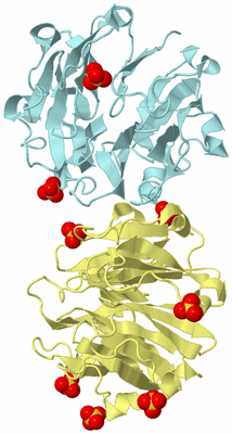 Image Biological Unit 7