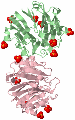 Image Biological Unit 8