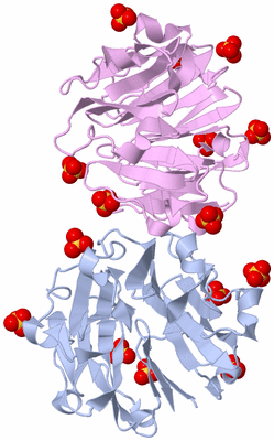 Image Biological Unit 9